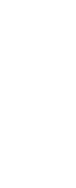 Tsujiki